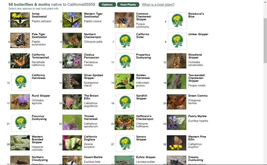 Calscape page of butterflies that live at my zip code