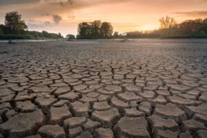 Photo of dry, cracked earth near waterway