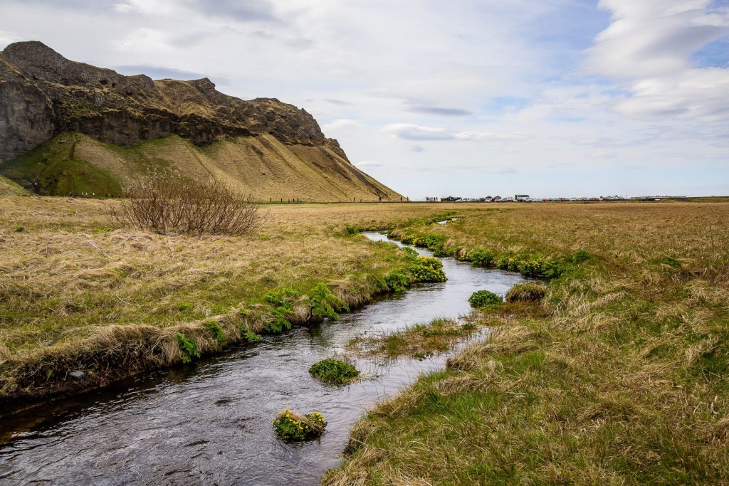 Natural meadow with waterway through it