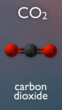 graphic of carbon dioxide molecule