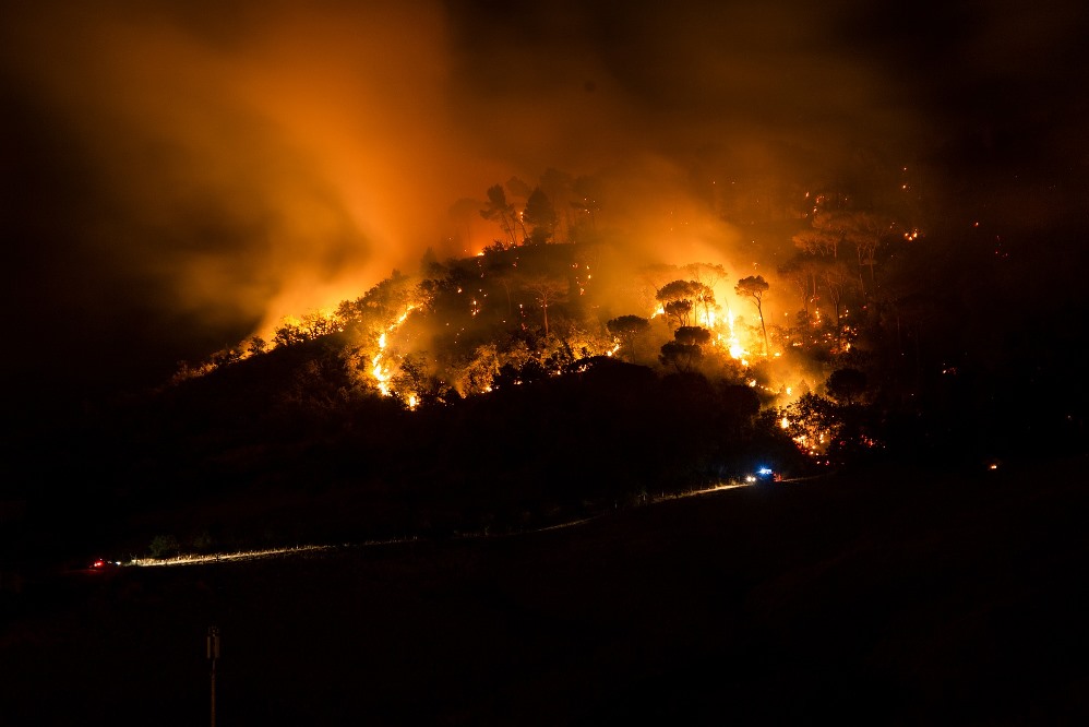 Wildfire at night near road