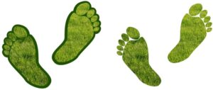 Two sets of green footprints on a white background