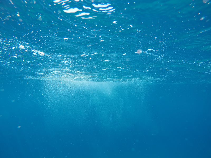 photo from just below the water's surface, showing bubbles