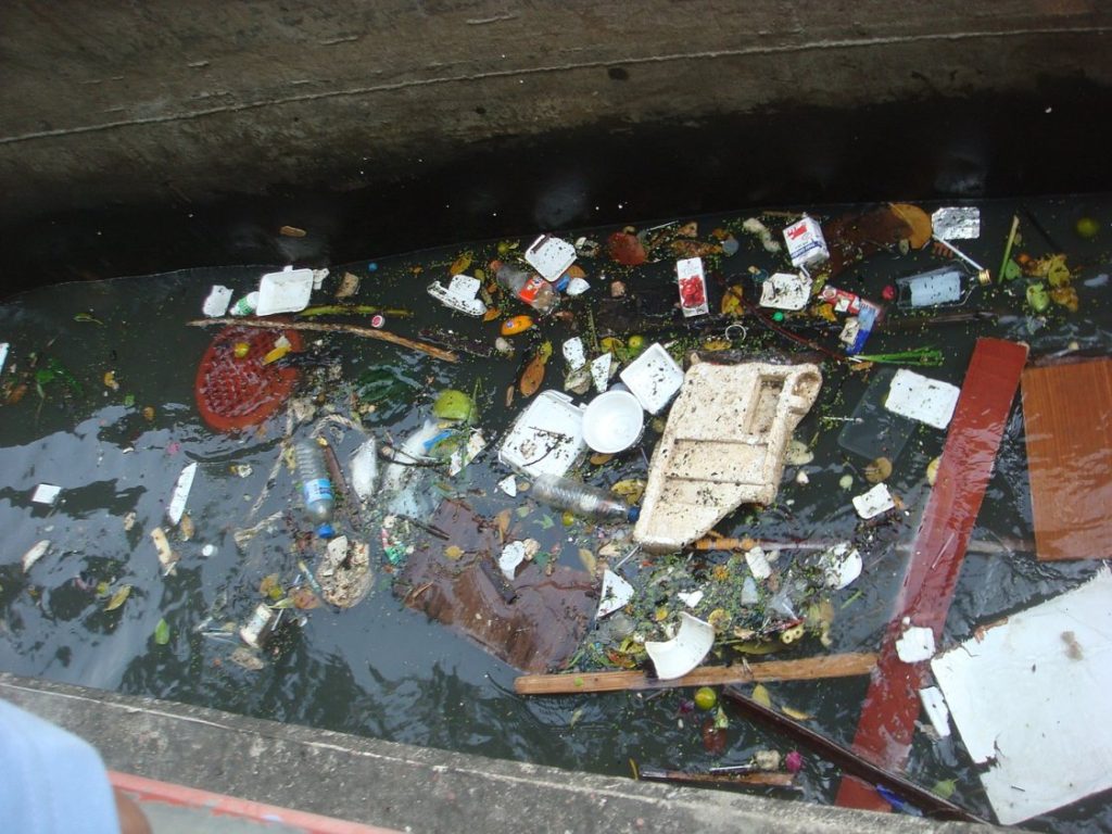 Soupy water at a dock with pieces of plastic and wood