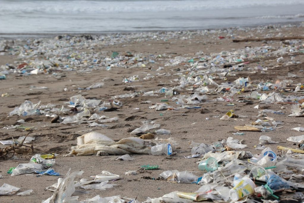 Beach heavily littered with plastic waste