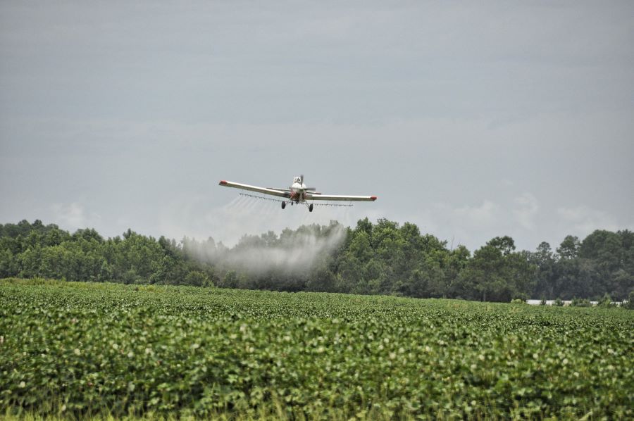 Cotton field getting sprayed overhead by a plane